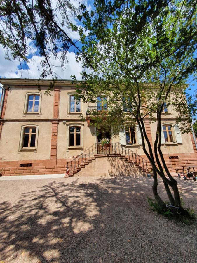 Sojolidays - Appartements d'hôtes&Brocante Rorschwihr Exterior foto